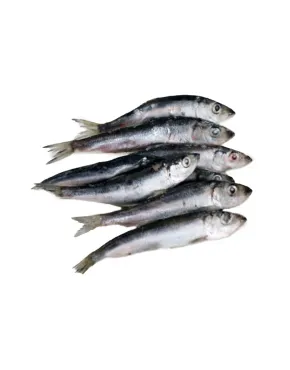 Atlantiniai šprotai, 10 kg, šaldyti