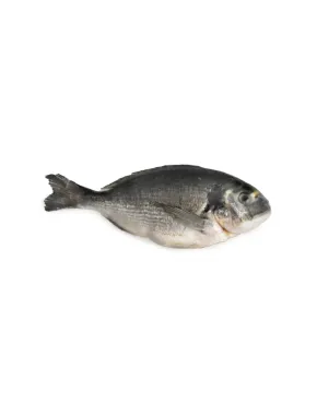 Dorado Head on gutted 300/400 gr/pcs 20 % Turkey frozen