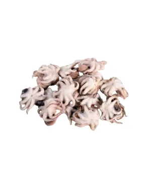 Baby octopus whole-cleaned, raw 40/60 India (10x1kg) 20%