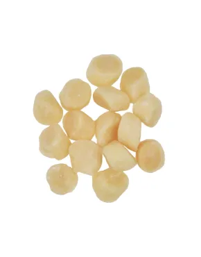 Plačiosios šukutės be ikrų 10-20/lbs, 1000/800g, 20% gl., šaldytos