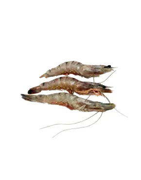 Black Tiger head-on, shell-on, raw 16/20 Bangladesh (10x1kg) 20%