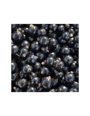 Blackcurrant (4*2,5kg)  Poland