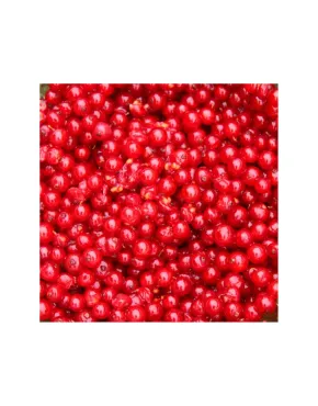 Raudonieji serbentai, 2,5 kg, šaldyti