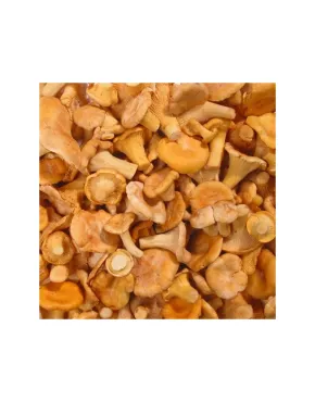 Blanched chanterelles, frozen (10*1kg) Lithuania