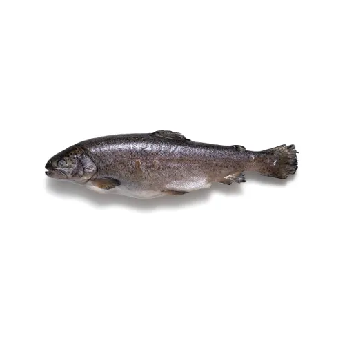 Радужная форель с головой потраш. 250/300гр 10% (5кг) Турция заморож.