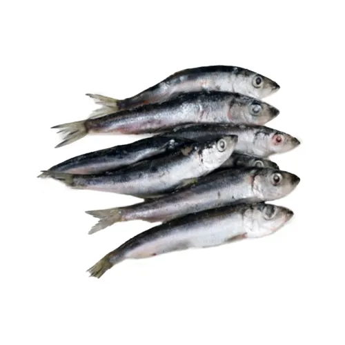 Atlantiniai šprotai, 10 kg, šaldyti