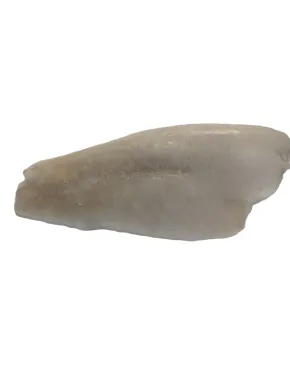 Atlantinių paltusų filė be odos 400/800, 20 % gl., 5 kg, šaldyta