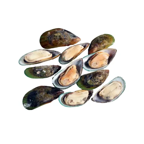 Greenshell mussels half-shell M 30/40 New Zealand (12x1kg)