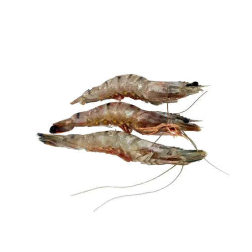 Didž. tigrinės krevetės nevirtos, su kiautu, 8-12/kg, 1000/800g, 20% gl., šaldytos