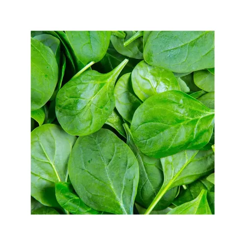 Листовой шпинат в порциях 50 гр (2,5 кг)