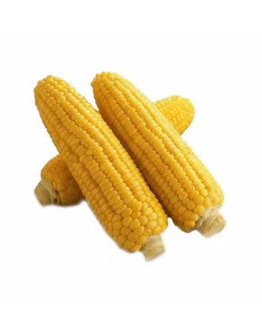 WF Kukurūzų burbuolės 15-18 cm, 24x550g, šaldytos