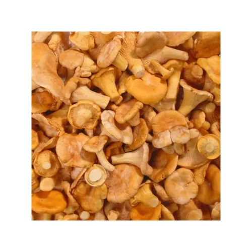 Blanched chanterelles, frozen (10*1kg) Lithuania
