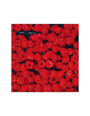 Avietės 4x2,5kg, šaldytos